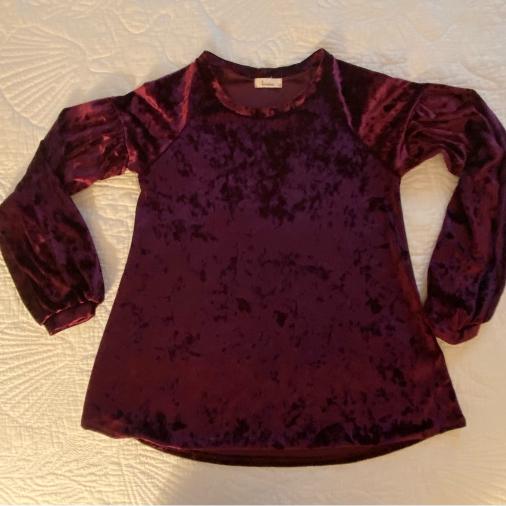 Velveteen wine colored long sleeved top, size Small